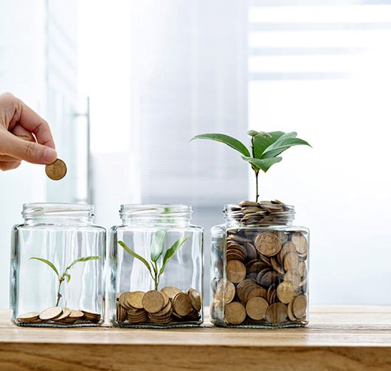 a hand adding coins to three jars with a plant sprouting out of them