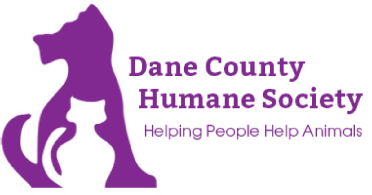 dchs logo