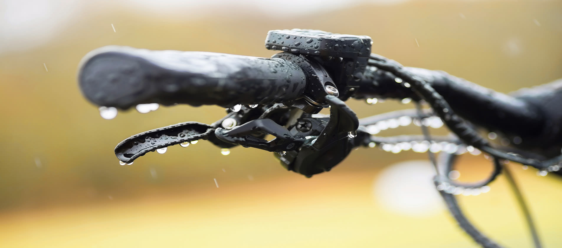 corey blog expectations4