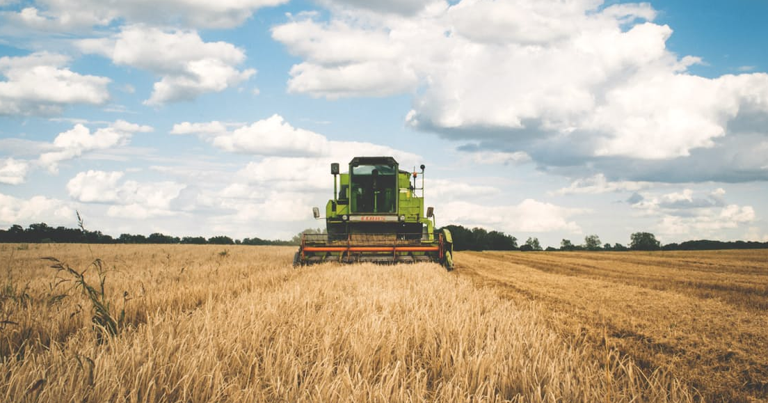 farming