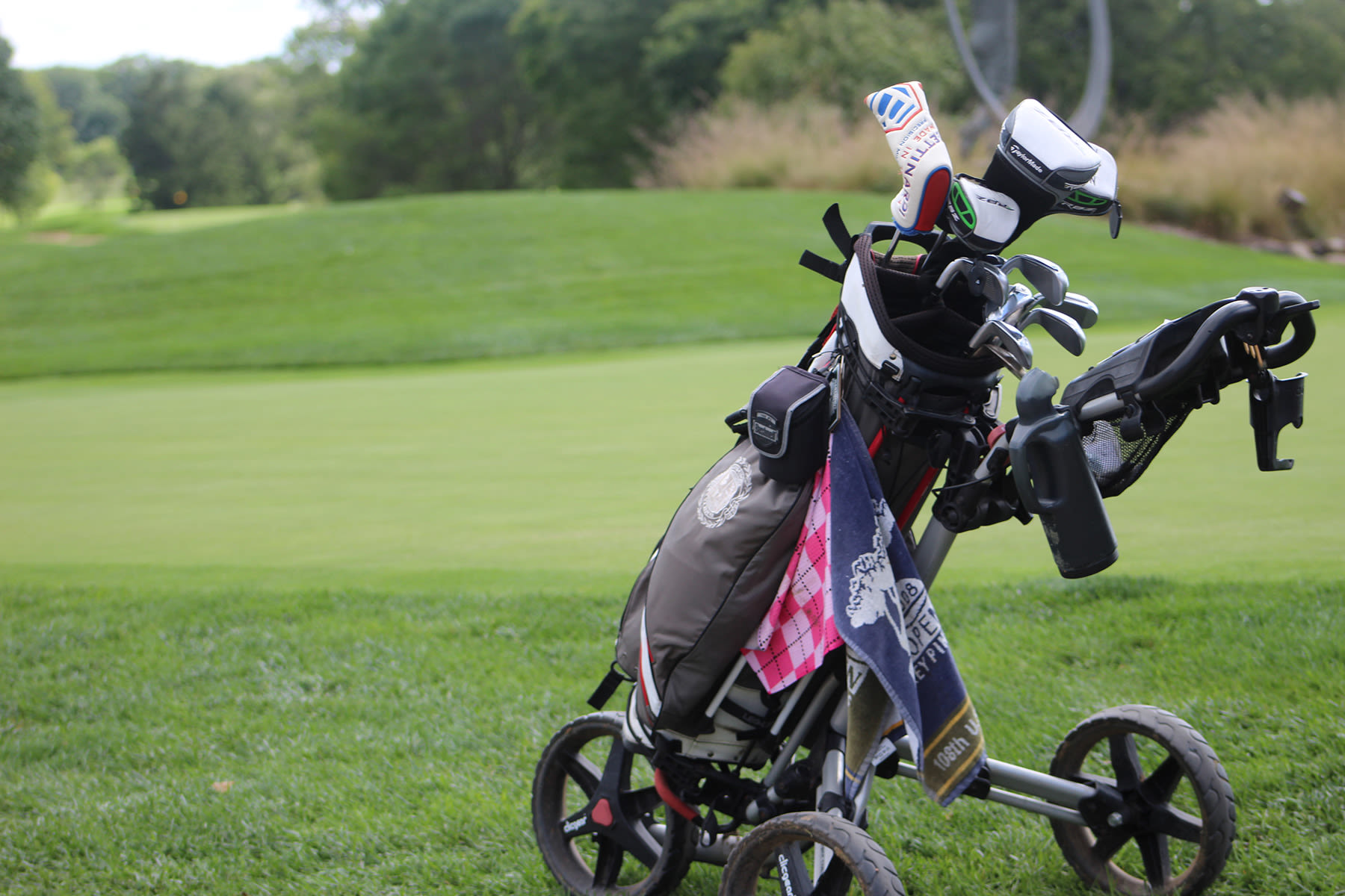 a set of golf clubs on a golf course
