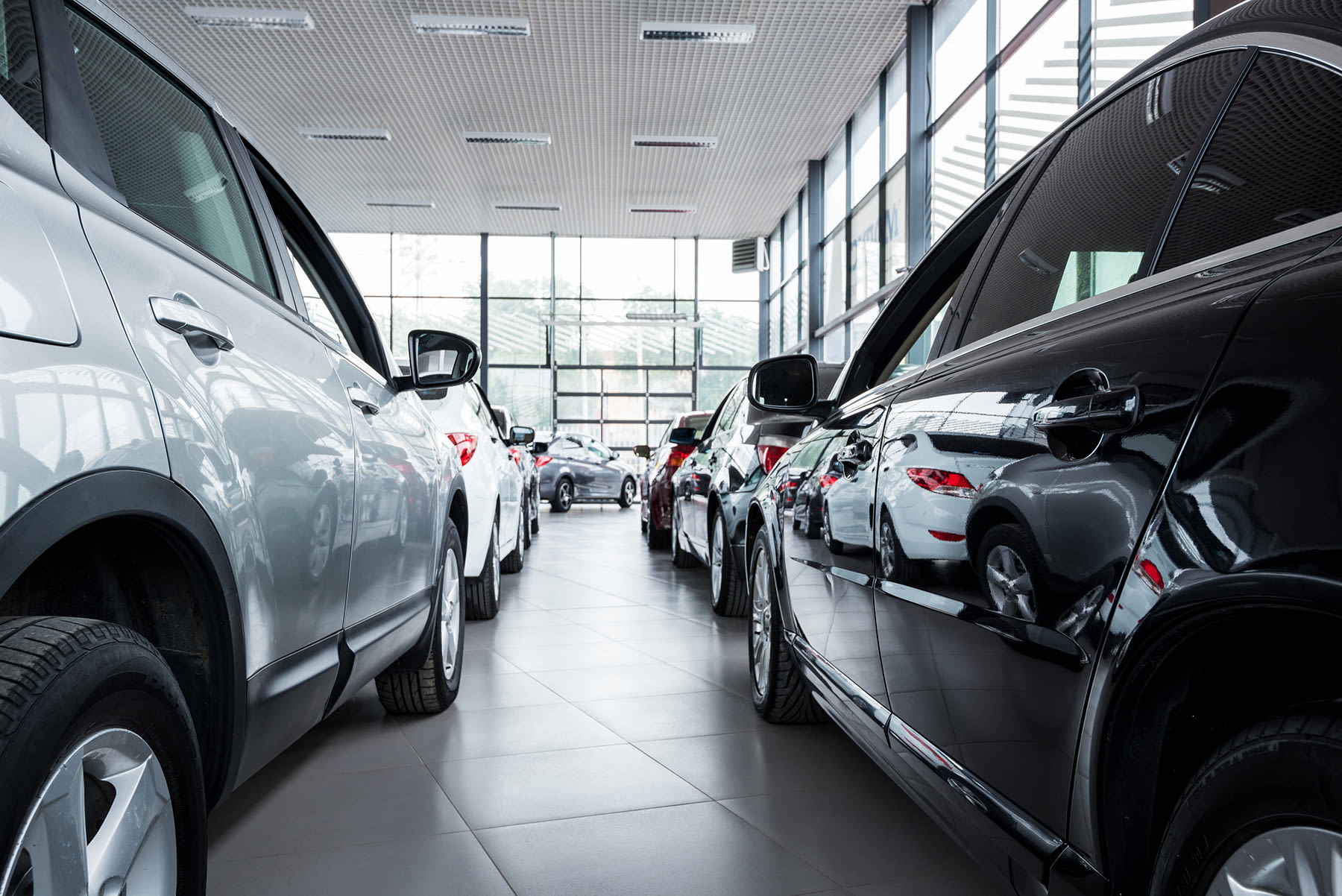 cars lined up inside a car dealership