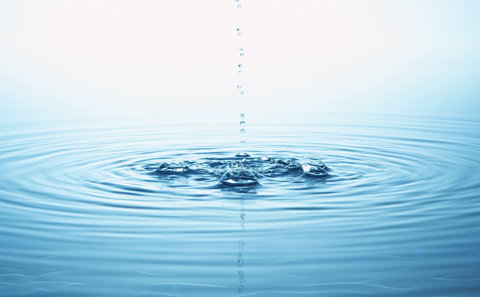 Harnessing the Ripple Effect for Good – First Business Bank